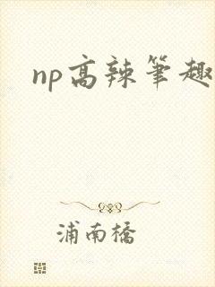 np高辣笔趣阁封面