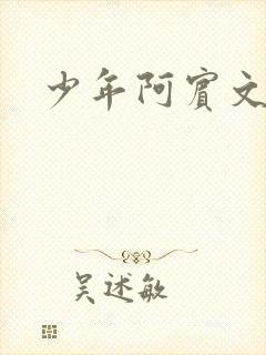 少年阿宾文全