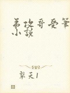 弟攻哥受笔趣阁小说