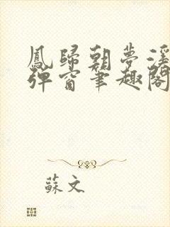 凤归朝梦溪石无弹窗笔趣阁封面