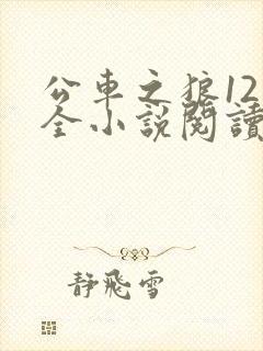 公车之狼12集全小说阅读封面