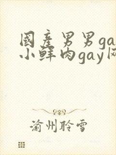 国产男男gay小鲜肉gay网站亚洲