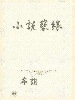小说孽缘