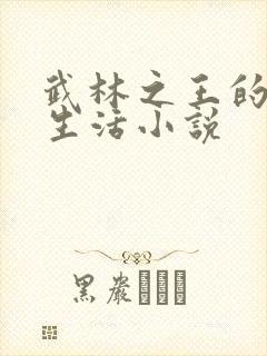 武林之王的退隐生活小说