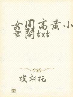 女同高黄小说趣笔阁txt