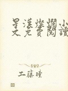 星汉灿烂小说全文免费阅读