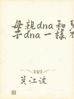 母亲dna和儿子dna一样不