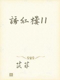 诱红楼11