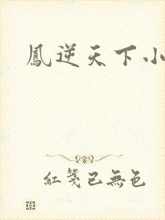 凤逆天下小说