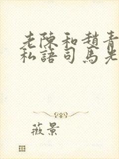 老陈和赵青窃窃私语司马光封面