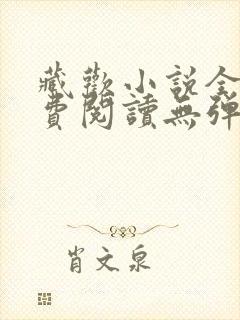 藏欢小说全文免费阅读无弹窗