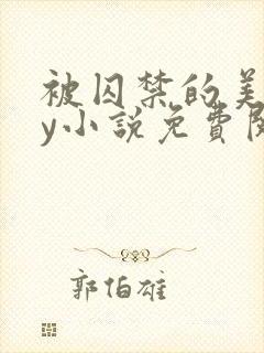 被囚禁的美人by小说免费阅读封面