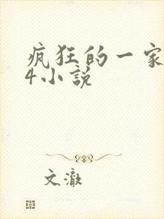 疯狂的一家ps4小说