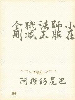 全职法师小说无删减正版在线阅读