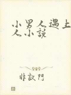 小男人遇上大女人小说