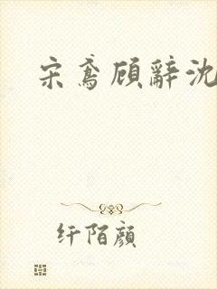 宋鸢顾辞沈煜安封面