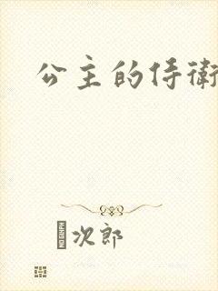 公主的侍卫封面