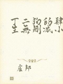 丁二狗的肆意人生无删减小说免费