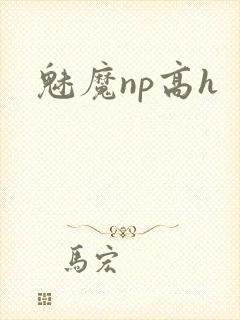 魅魔np高h