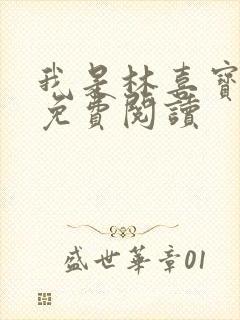 我是林喜宝小说免费阅读封面