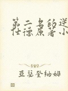 第二名的逆袭高仕德原著小说