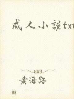 成人小说txt封面