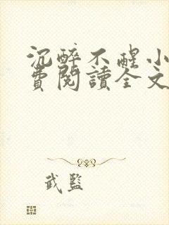 沉醉不醒小说免费阅读全文无弹窗