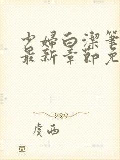 少妇白洁笔趣阁最新章节免费阅读