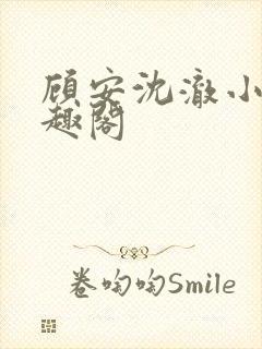 顾安沈澈小说笔趣阁