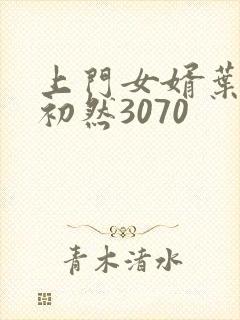 上门女婿叶辰萧初然3070