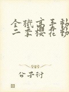 全职高手动漫第二季樱花动漫