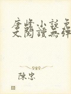 唐峰小说免费全文阅读无弹窗封面