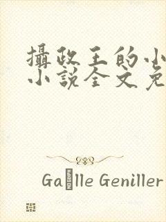 摄政王的小狼妃小说全文免费阅读