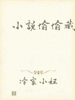 小说偷偷藏不住封面