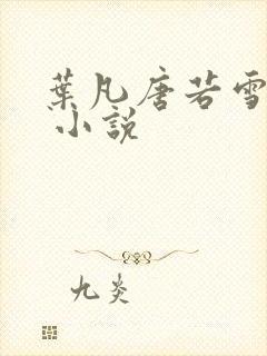 叶凡唐若雪医婿 小说