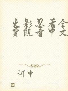 火影忍者全集免费观看中文版