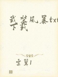 武装风暴txt下载
