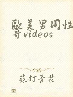 欧美男同性恋帅哥videos封面