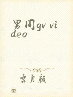 男同gv video