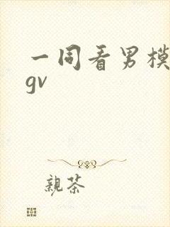 一同看男模写真gv
