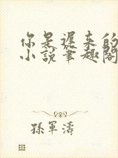 你是迟来的欢喜小说笔趣阁