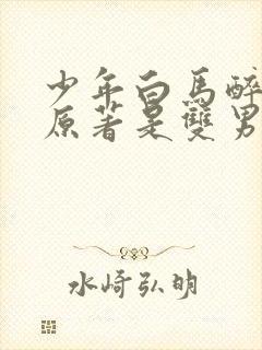 少年白马醉春风原著是双男主吗