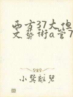 西方37大但人文艺术a管77封面