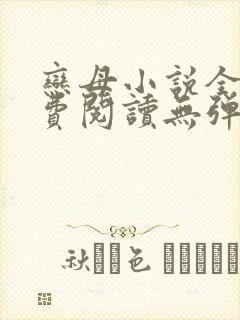 恋母小说全文免费阅读无弹窗笔趣阁封面