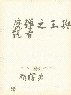 魔弹之王与战姬观看