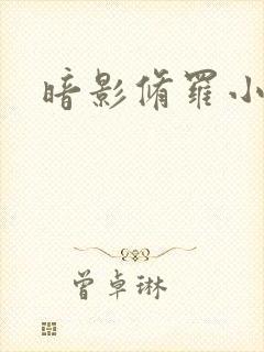 暗影修罗小说