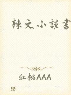 辣文小说书包网