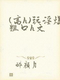 (高h)玩淫爆粗口h文封面