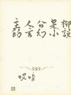 主人公是柳无邪的玄幻小说