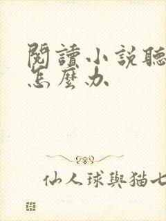 阅读小说听不了怎么办